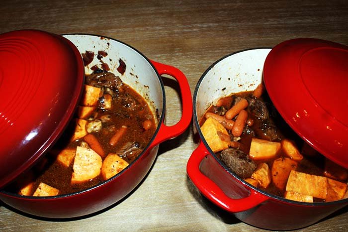 Enameled cast iron lodge and Tramontina dutch ovens